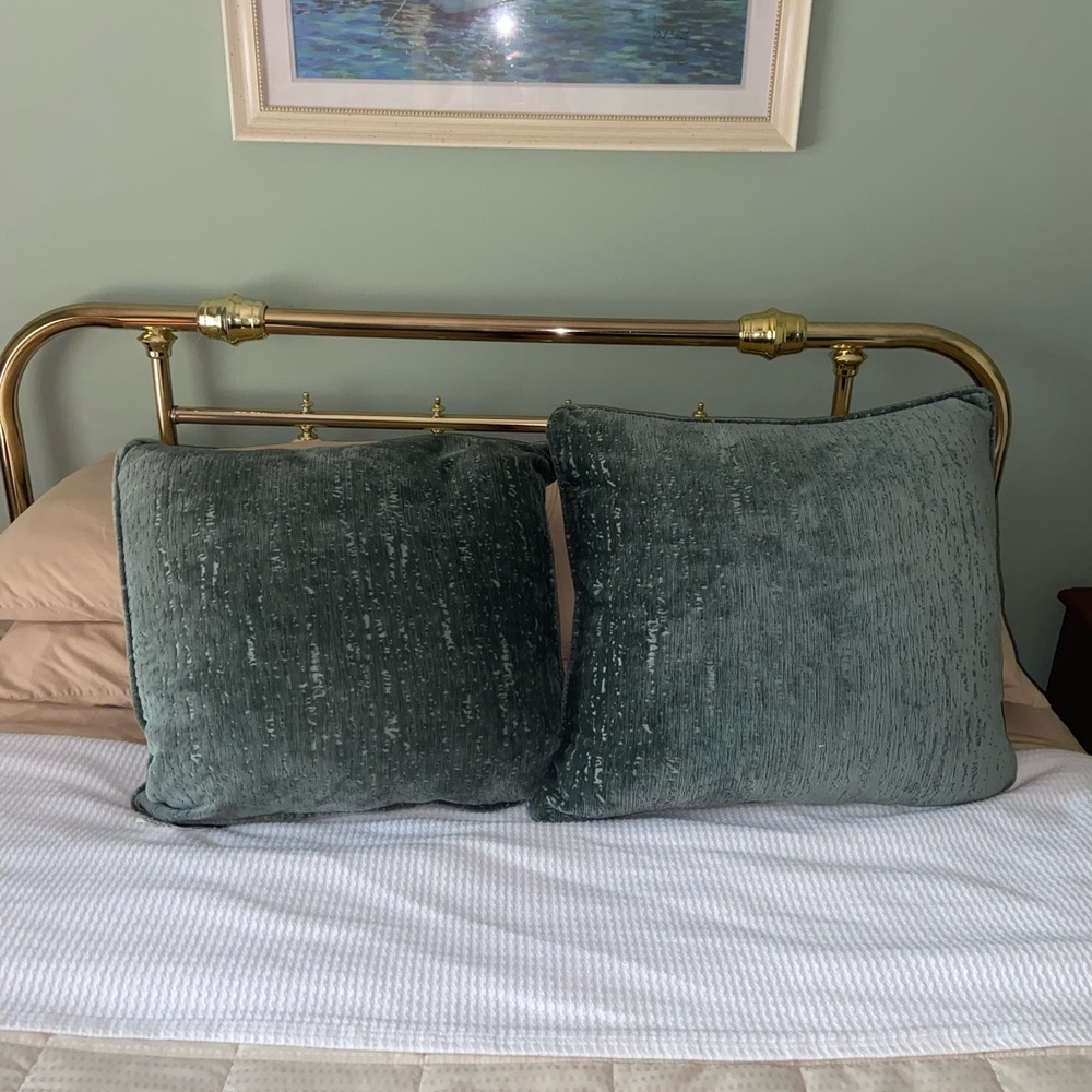 CELEBRITY HOME feather filled PILLOWs set of 2